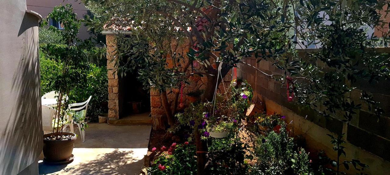 זאדאר Apartment Danijela מראה חיצוני תמונה