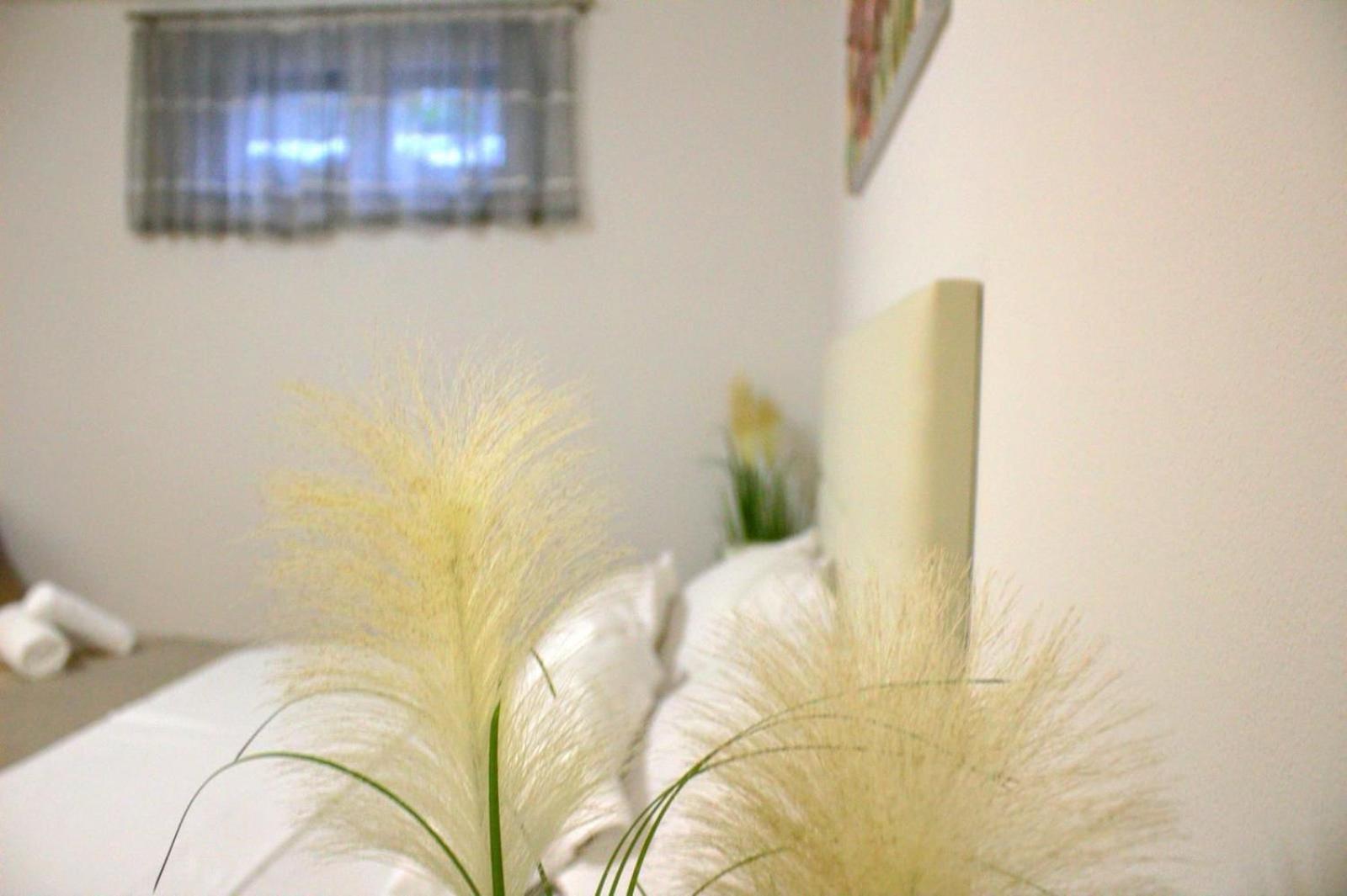 זאדאר Apartment Danijela מראה חיצוני תמונה