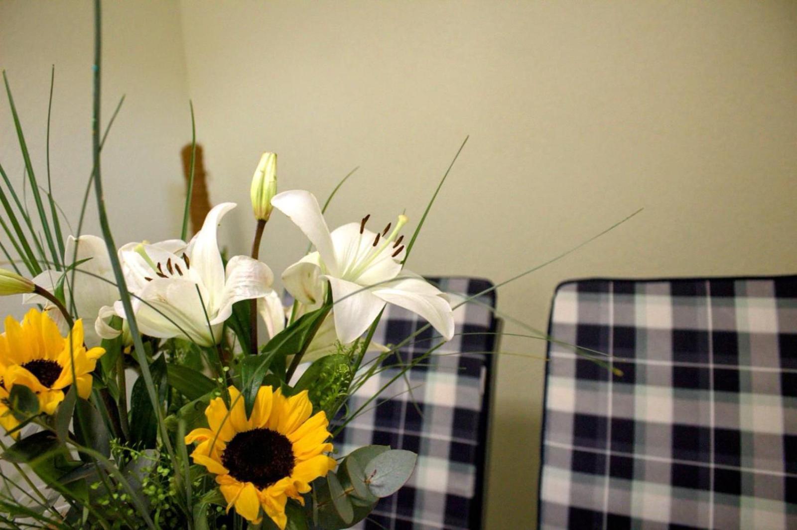 זאדאר Apartment Danijela מראה חיצוני תמונה