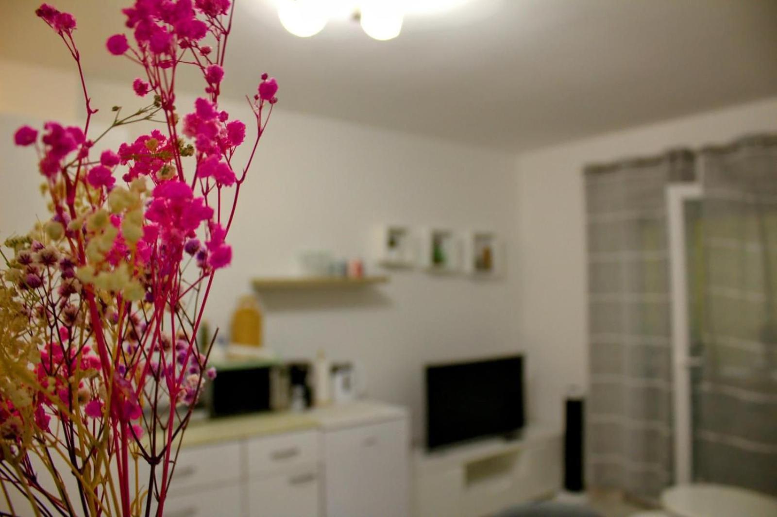 זאדאר Apartment Danijela מראה חיצוני תמונה