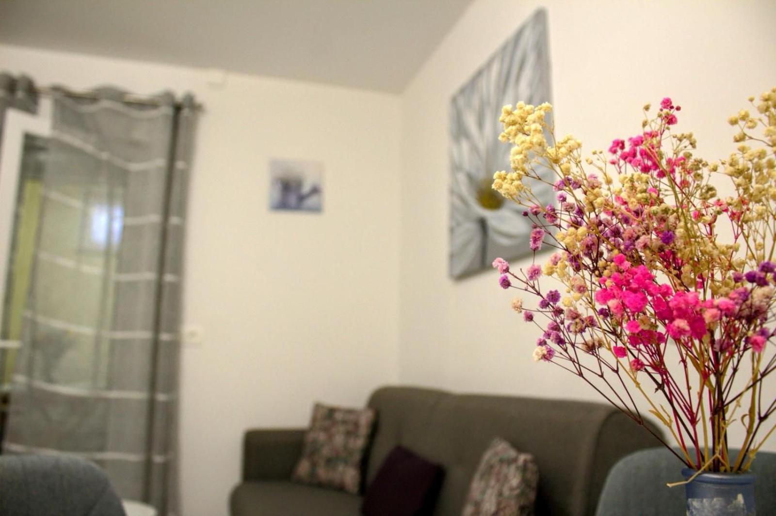 זאדאר Apartment Danijela מראה חיצוני תמונה